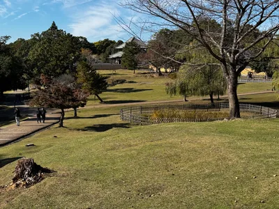 Nara-shi, Japan — 25 November 2024