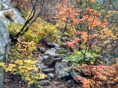 Photo from 21 October 2016