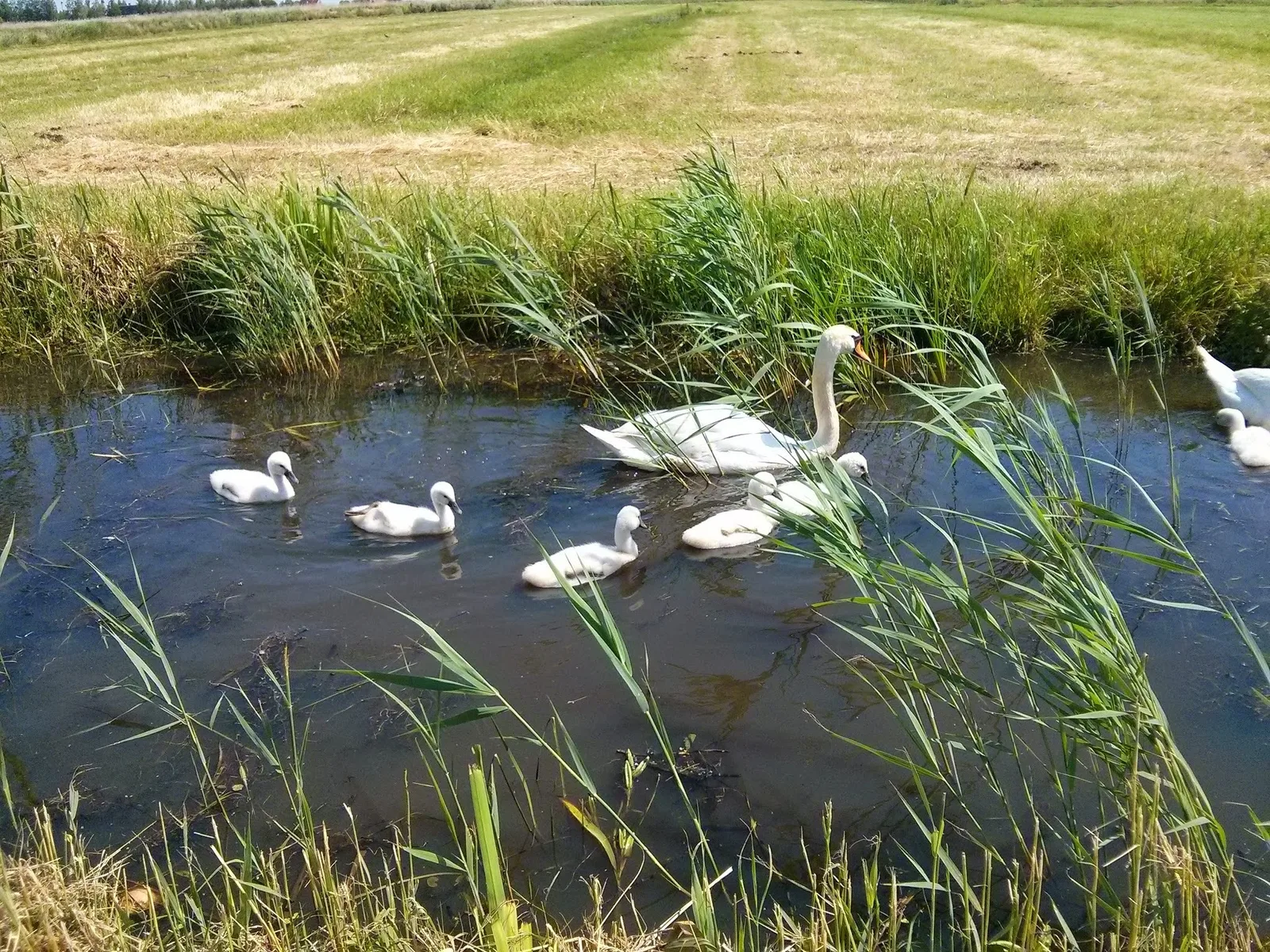 Photo from 10 June 2014