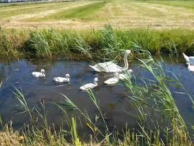 Photo from 10 June 2014