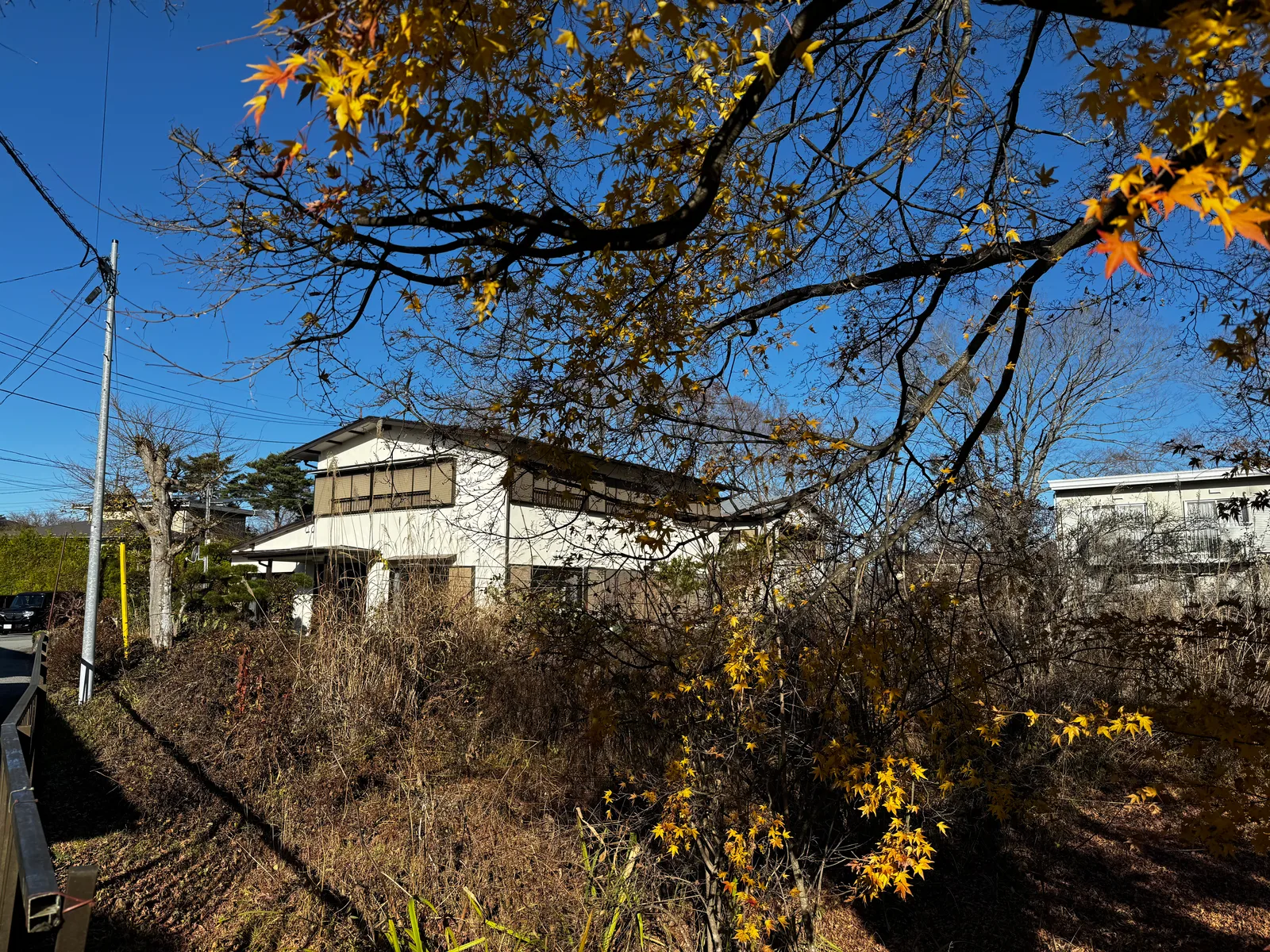 Yamanaka, Japan — 29 November 2024