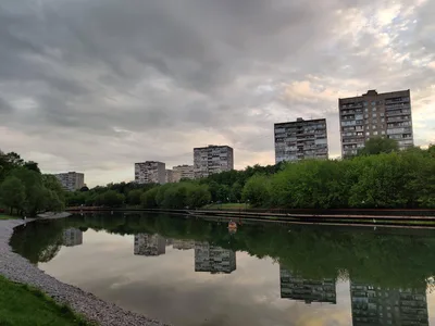 Bogorodskoye, Russia — 4 June 2020