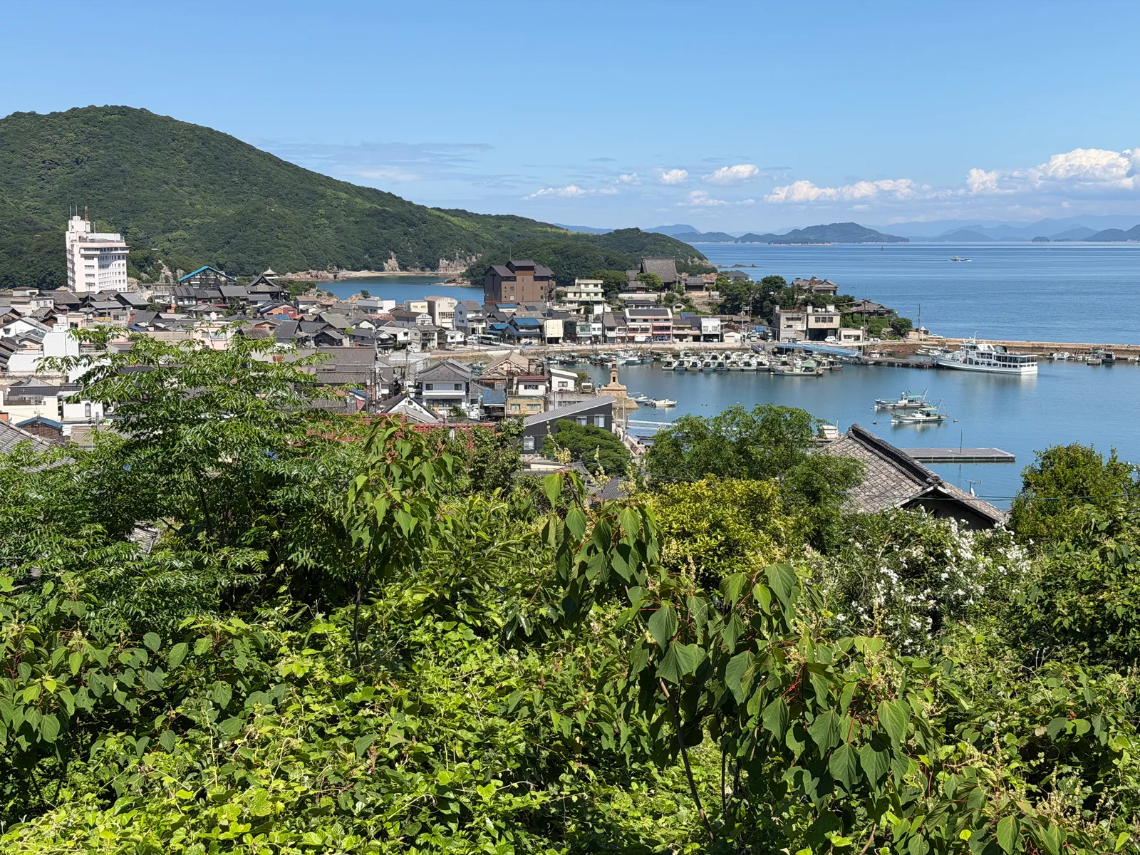 Fukuyama, Japan — 15 June 2026