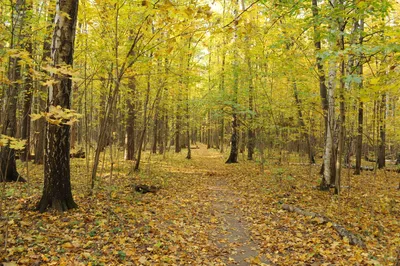 Photo from 8 October 2011