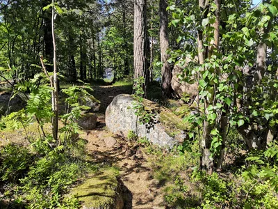 Photo from 16 June 2019