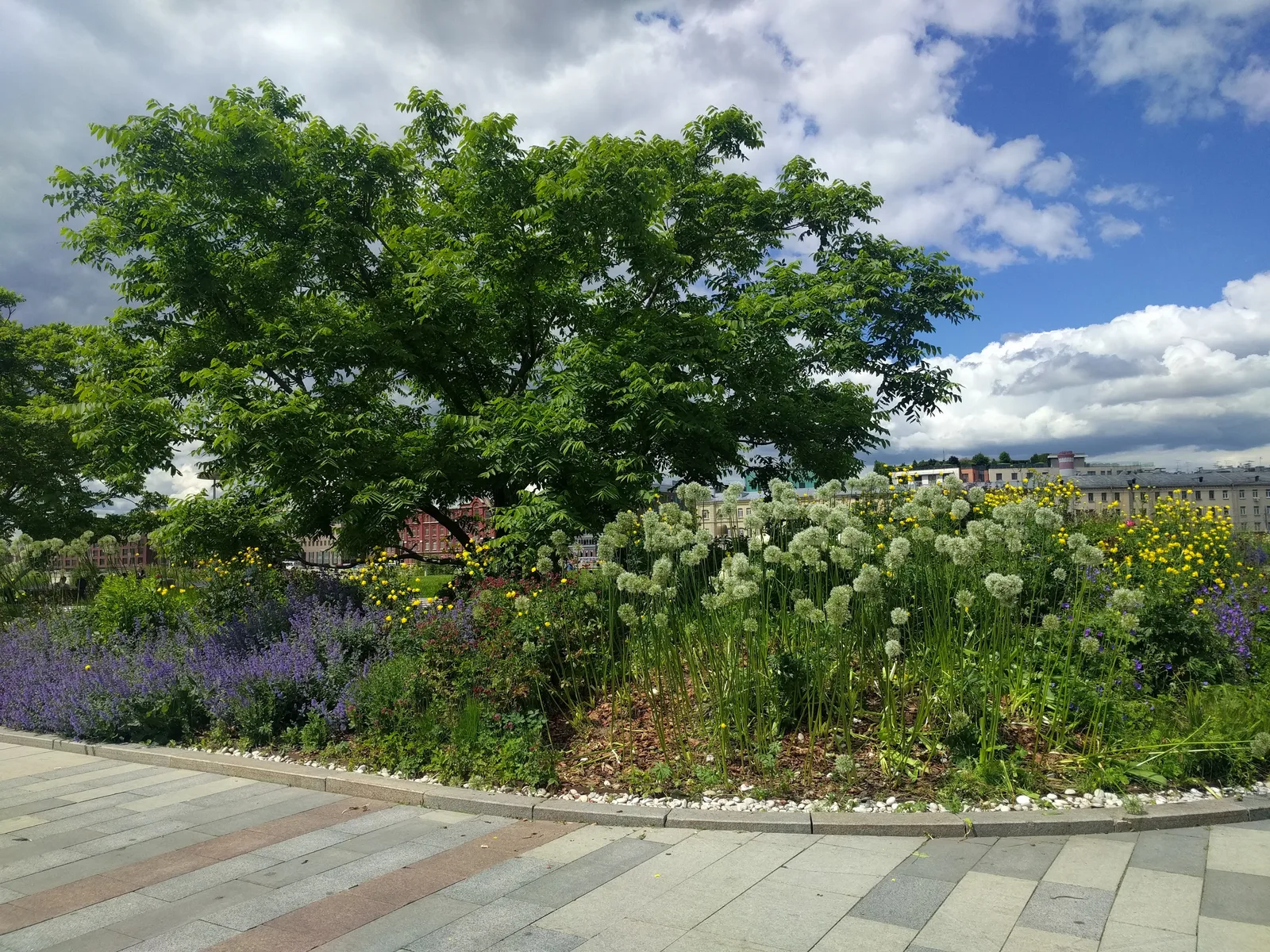 Photo from 24 June 2017