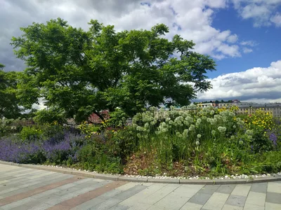 Photo from 24 June 2017