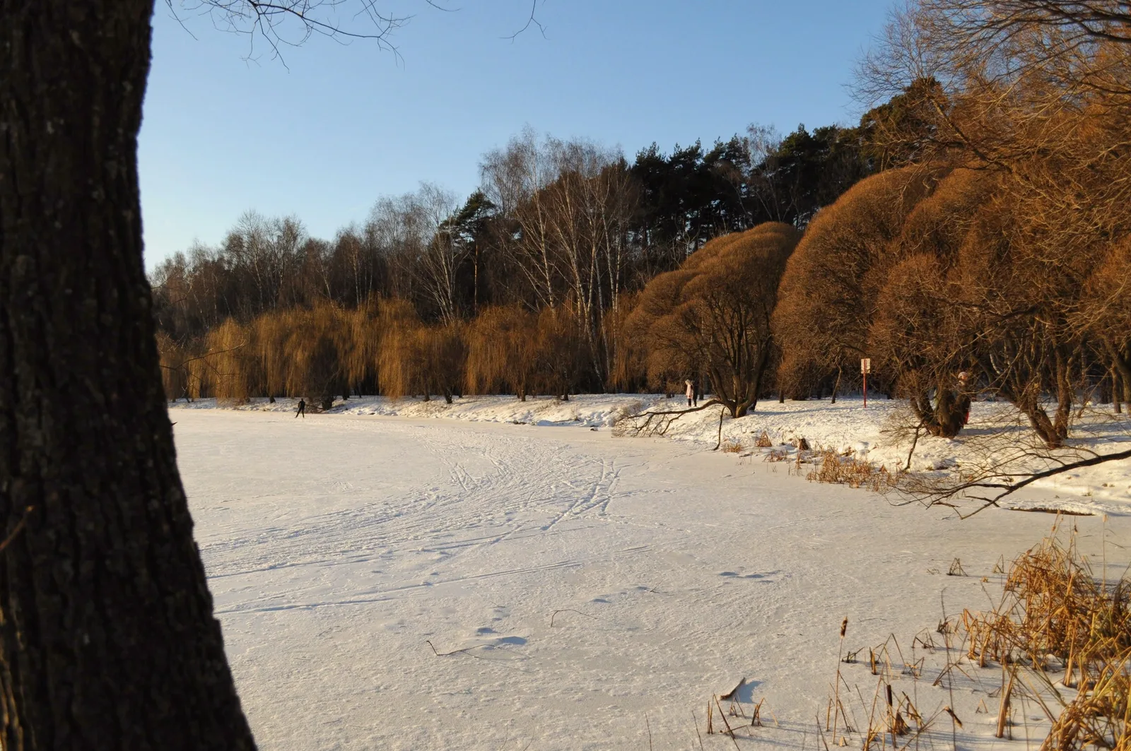 Photo from 15 December 2013