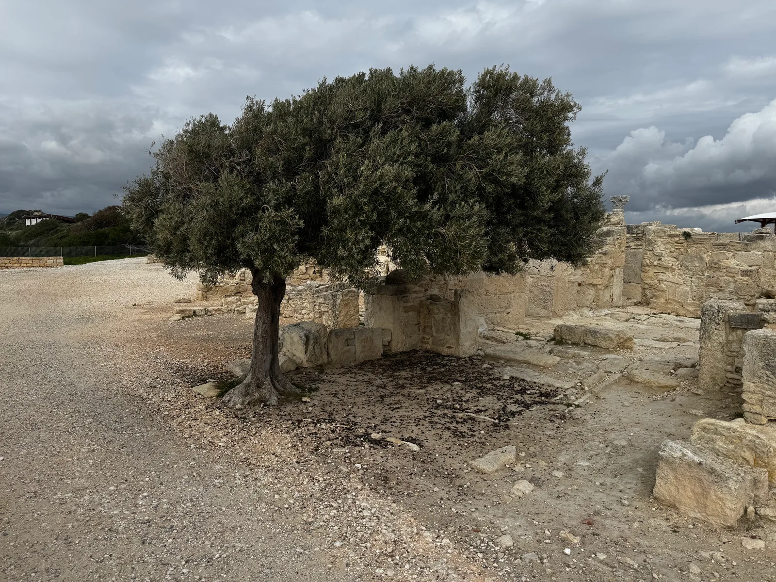 Erími, Cyprus — 12 January 2025