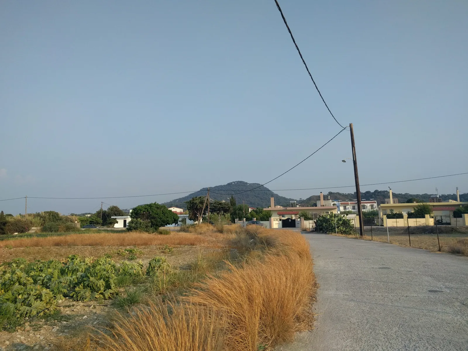 Photo from 7 August 2017