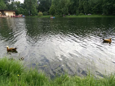 Photo from 31 May 2015