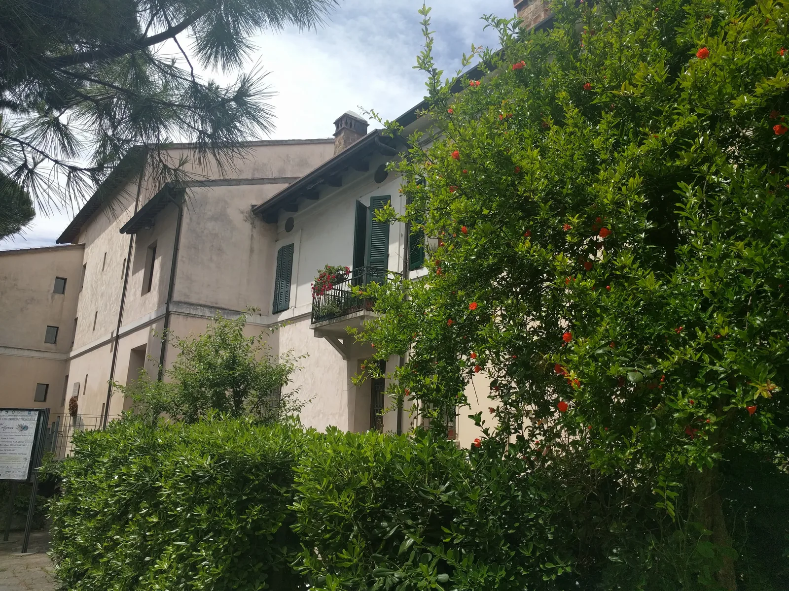 Photo from 17 June 2016