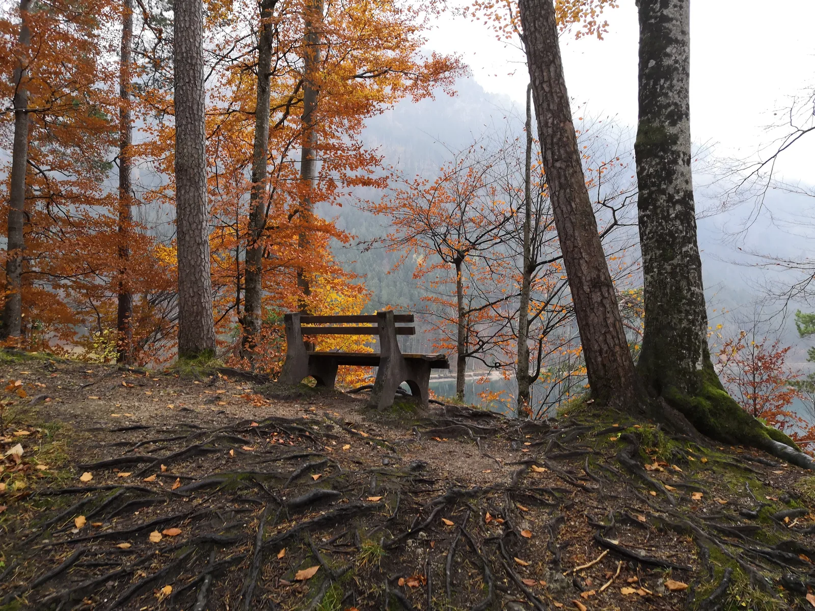 Schwangau, Germany — 8 November 2018