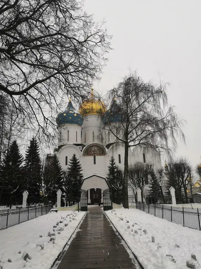 Photo from 2 February 2020