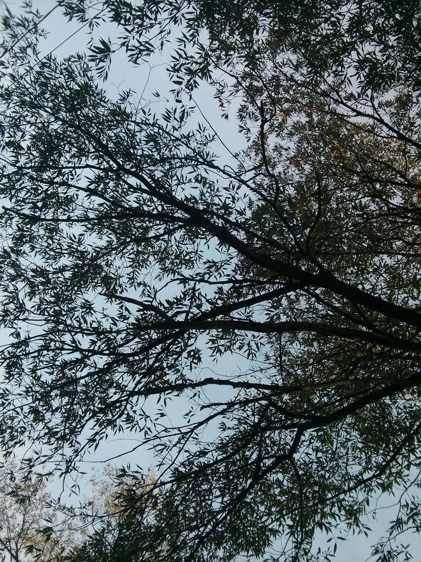 Photo from 26 September 2014