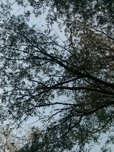 Photo from 26 September 2014