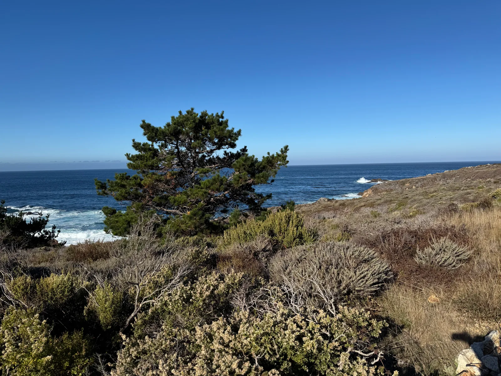 Carmel-by-the-Sea, United States — 23 October 2025
