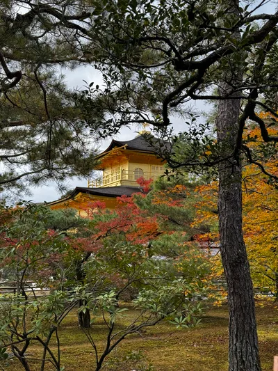 Kamigyō-ku, Japan — 24 November 2024