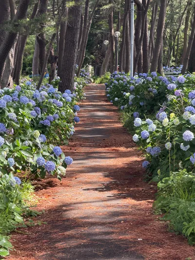 Heda, Japan — 18 June 2026