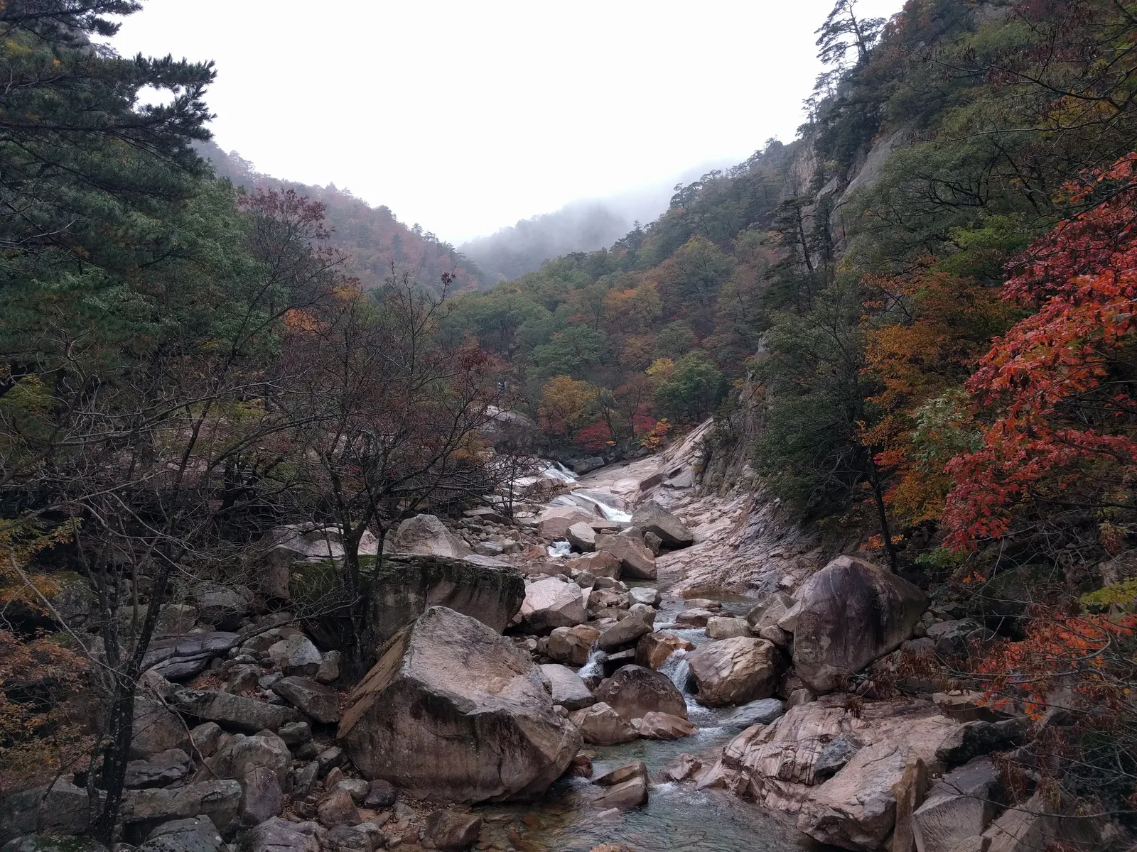 Sokcho, South Korea — 21 October 2016