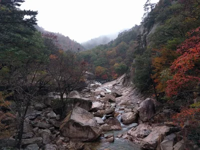 Sokcho, South Korea — 21 October 2016