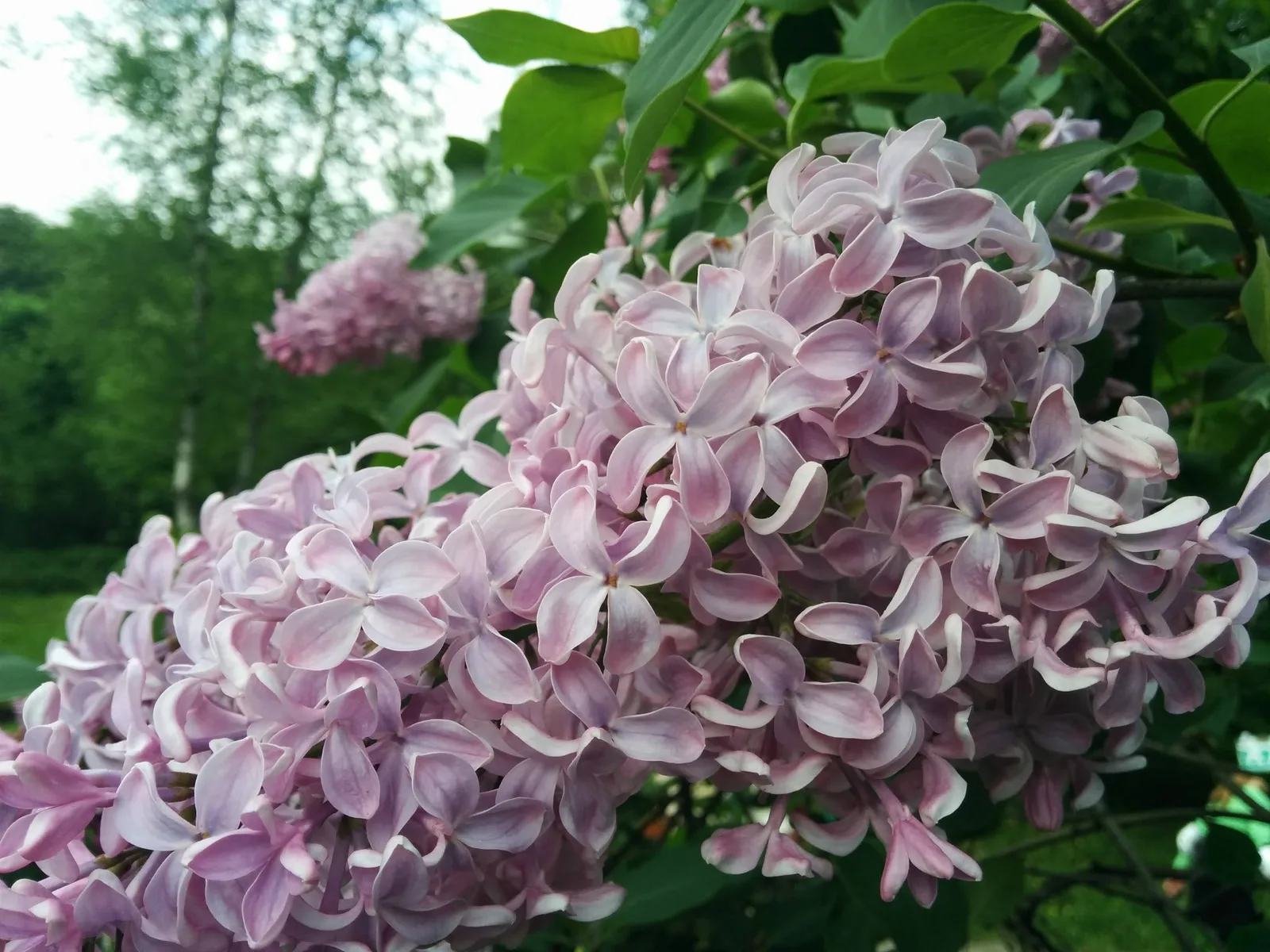 Photo from 23 May 2015