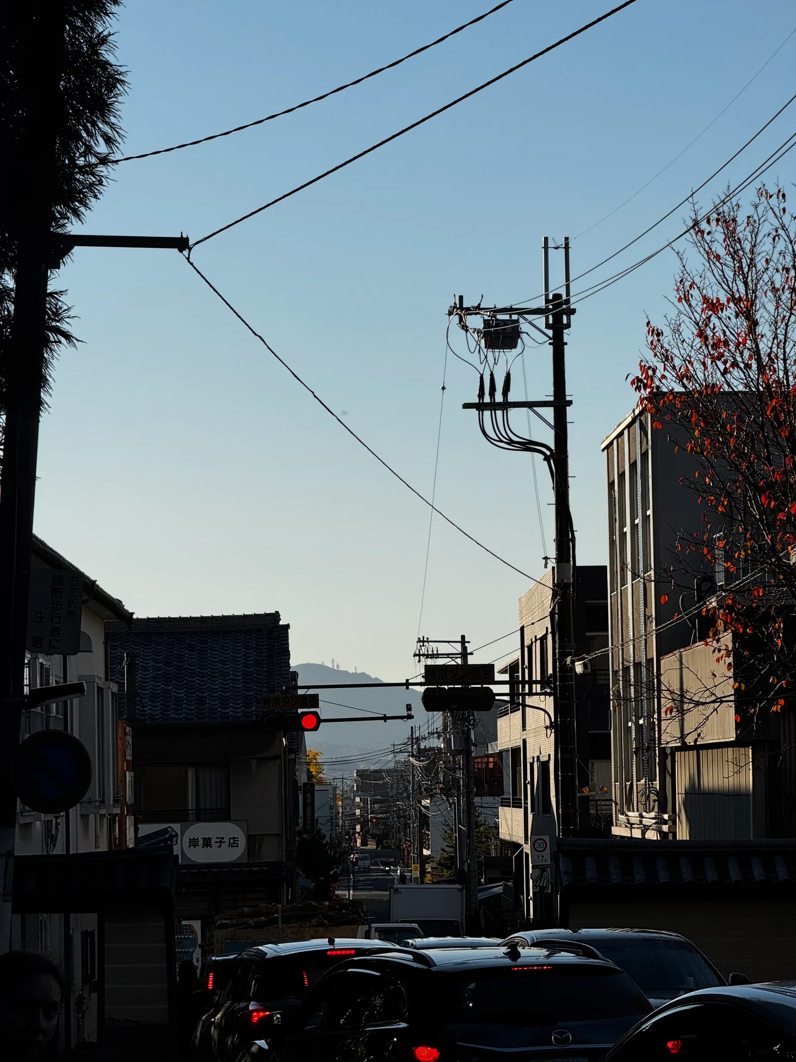 Nara-shi, Japan — 25 November 2024