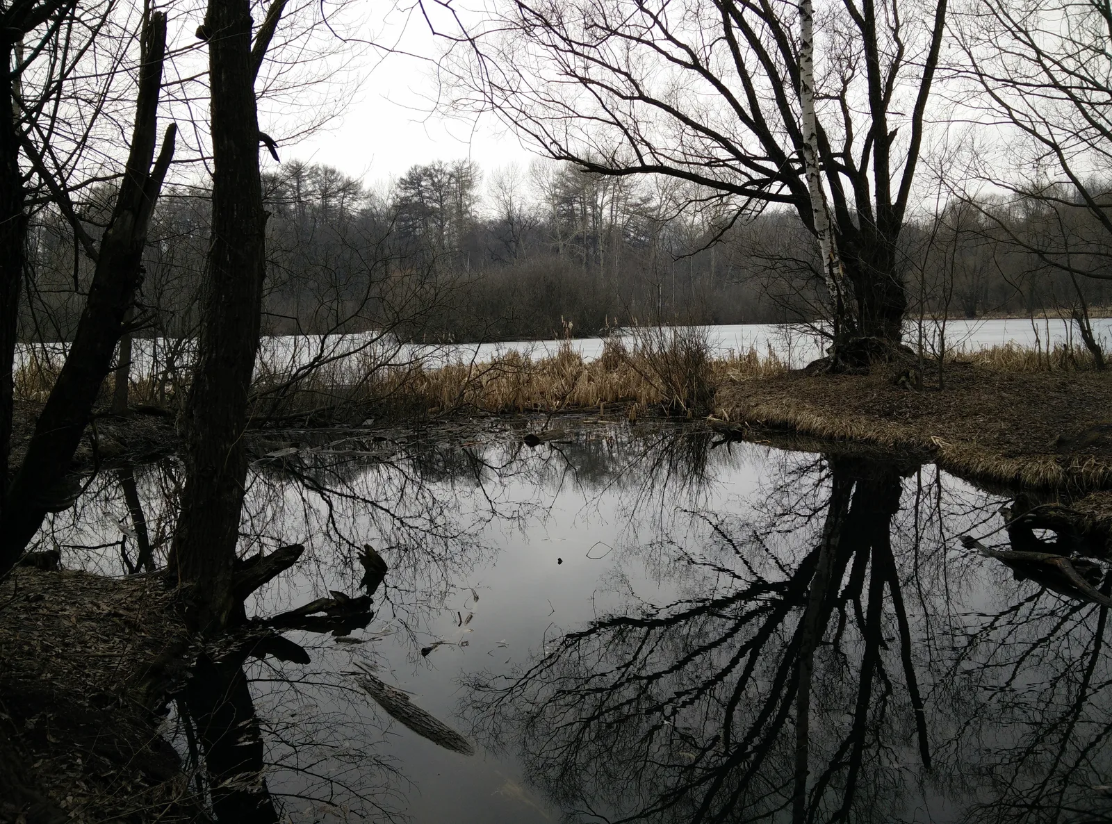 Photo from 21 March 2015