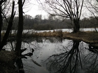 Photo from 21 March 2015