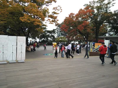 Photo from 16 October 2016