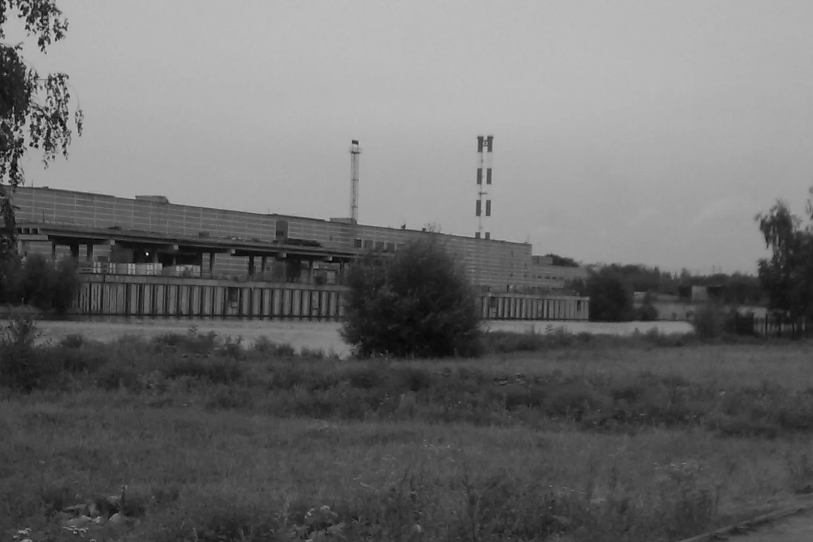 Novyye Cherëmushki, Russia — 2 August 2011