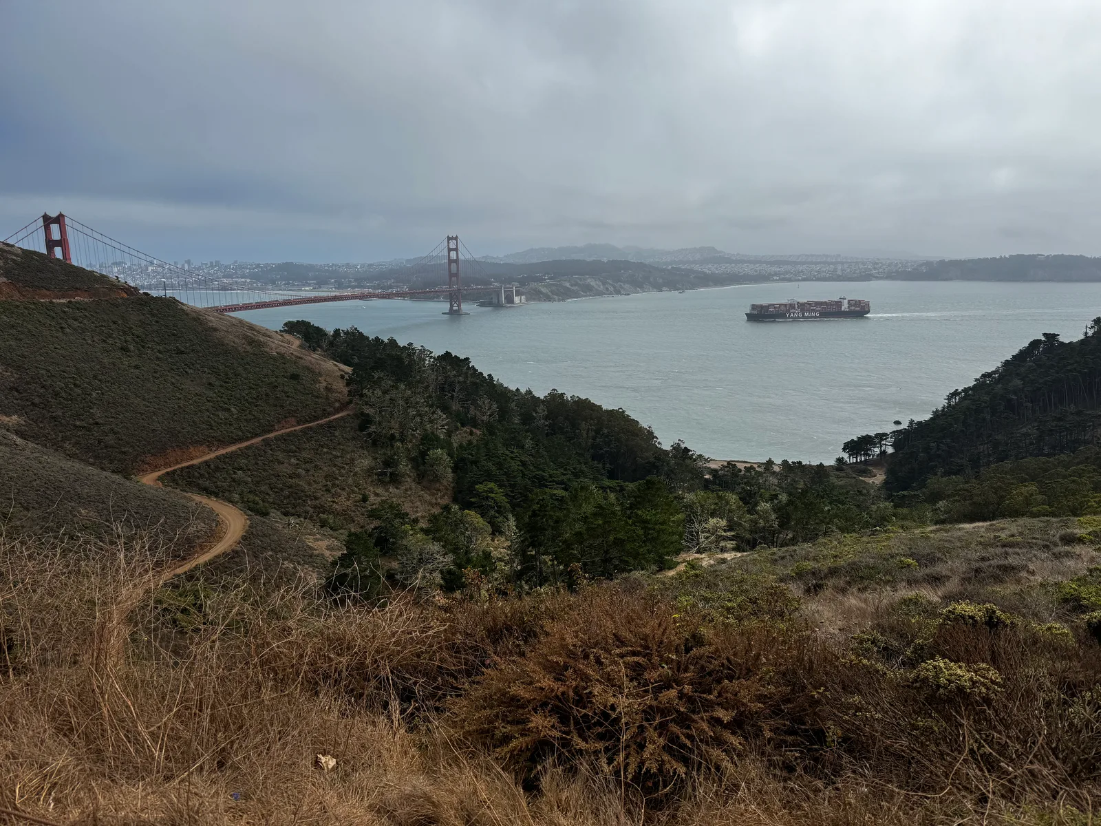 Sausalito, United States — 29 August 2024