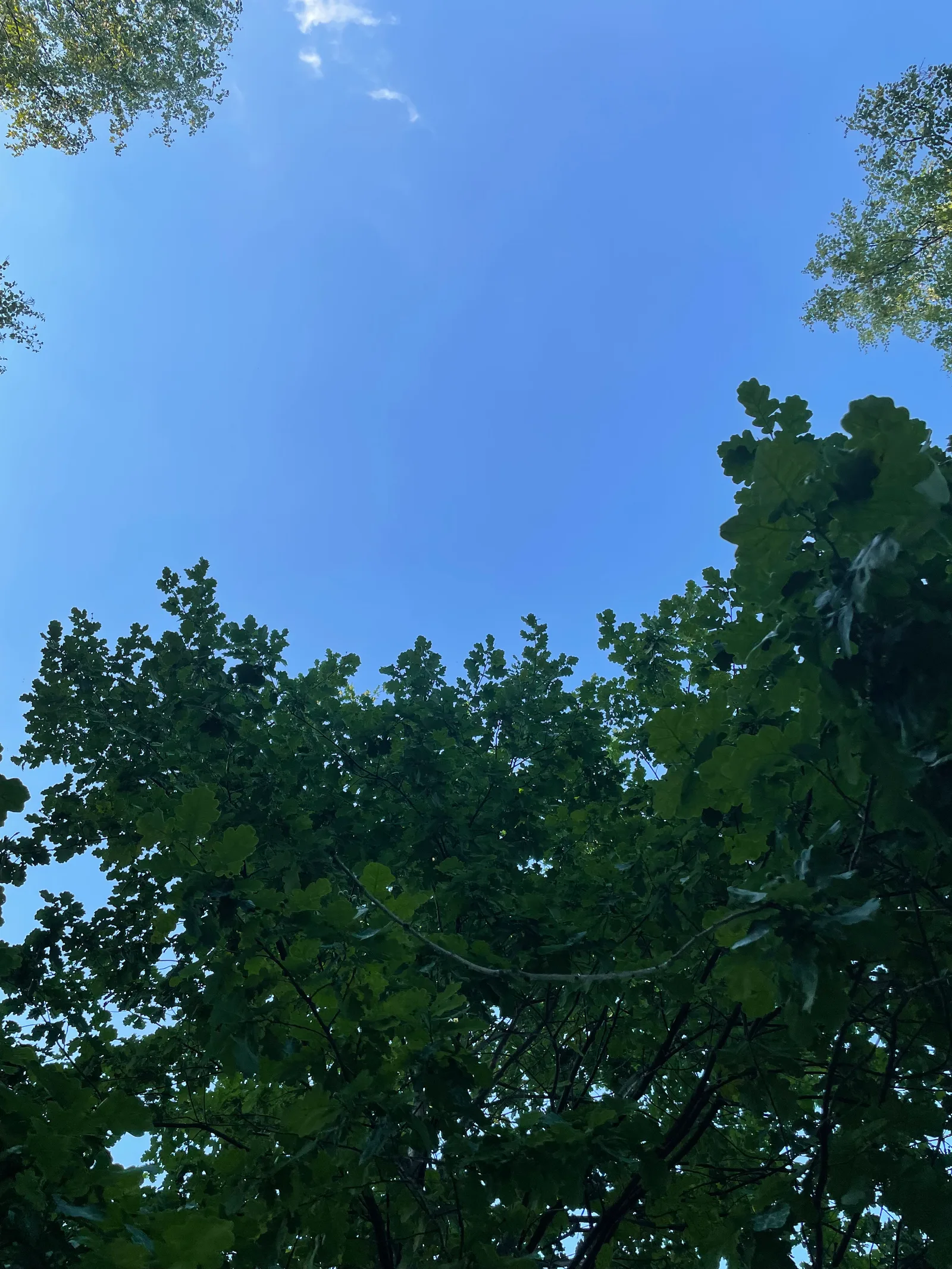 Levoberezhnyy, Russia — 9 July 2021