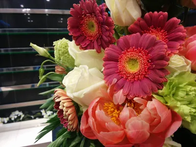 Photo from 8 May 2015