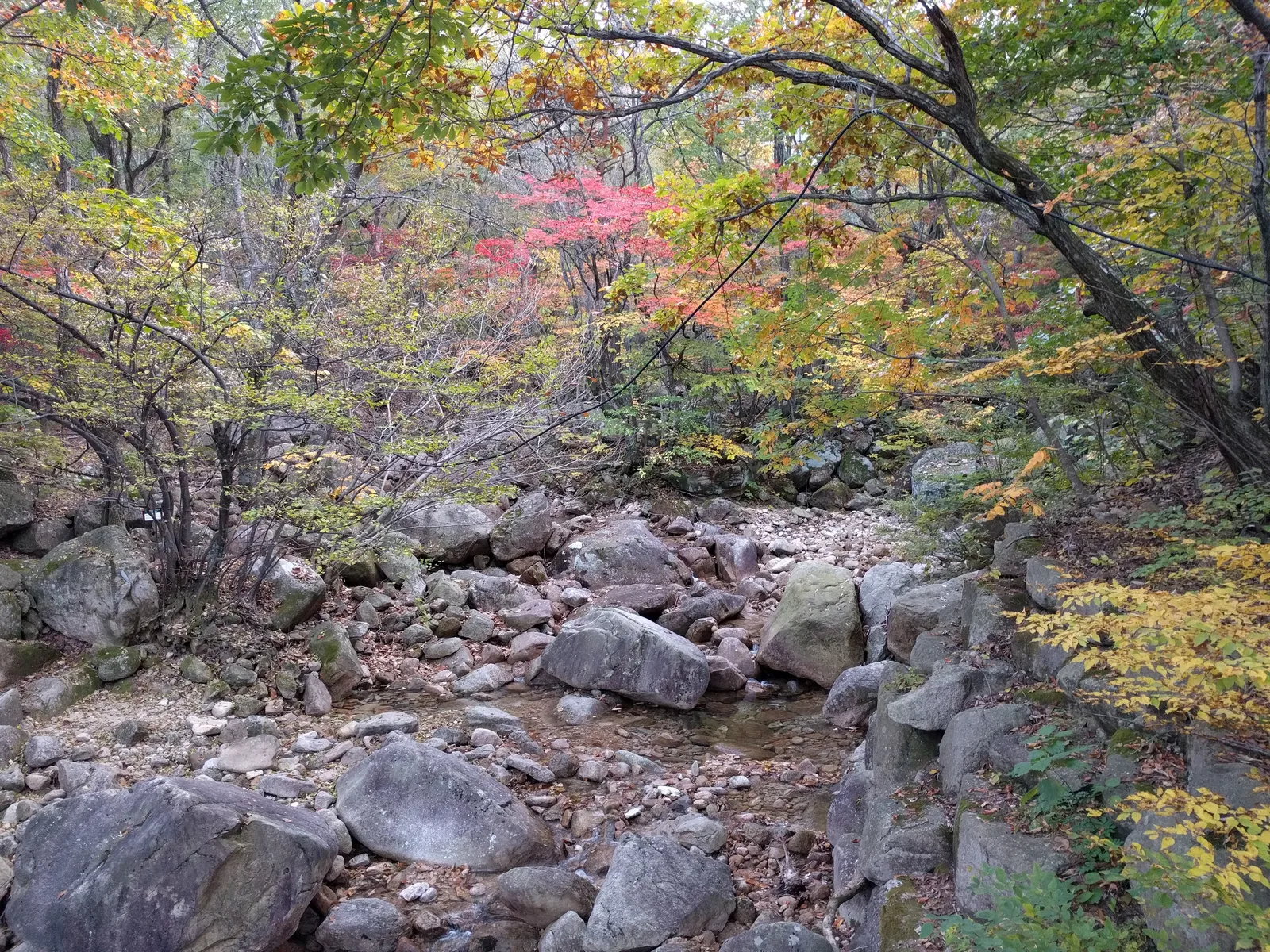 Sokcho, South Korea — 19 October 2016