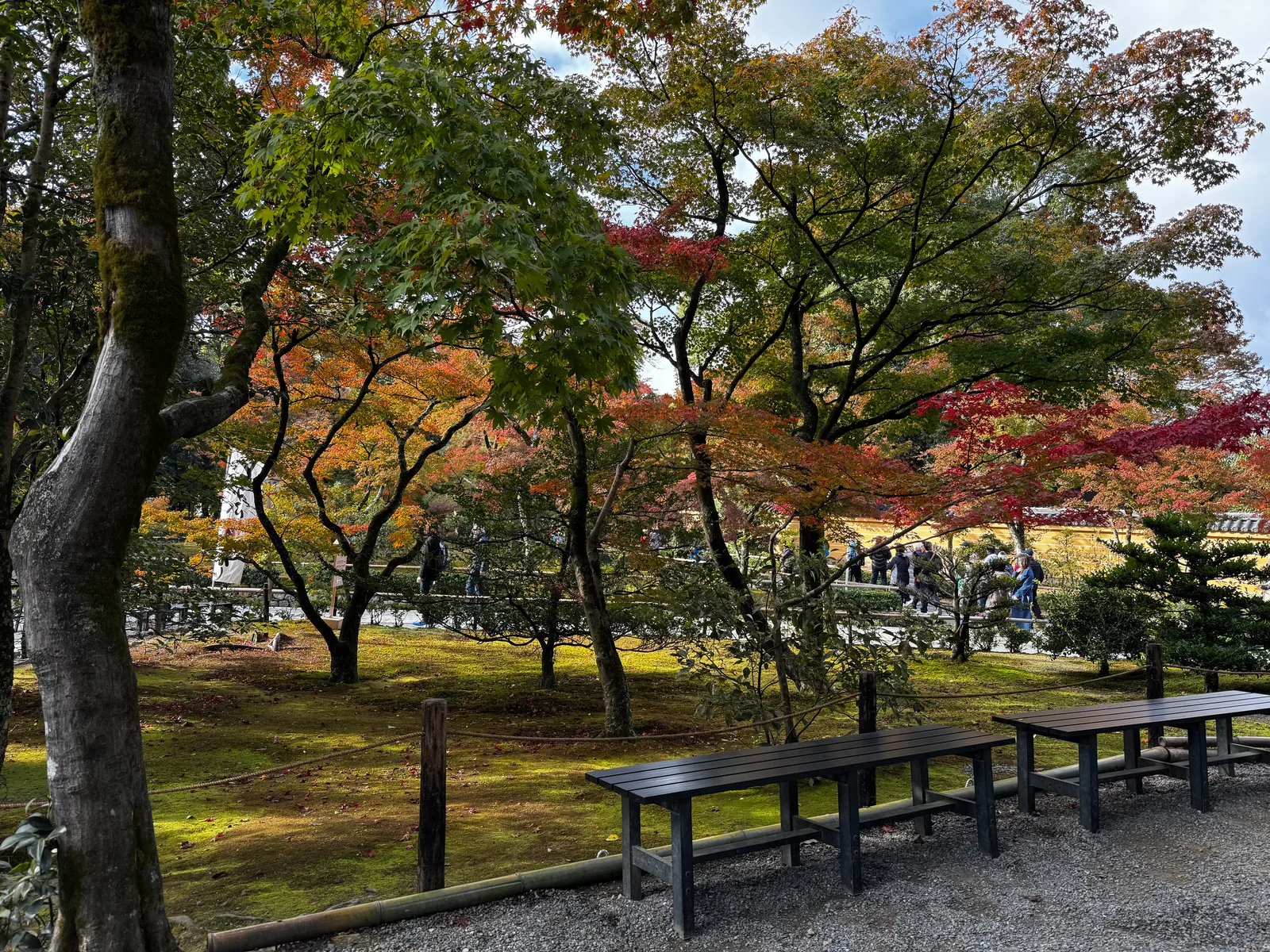 Kamigyō-ku, Japan — 24 November 2024