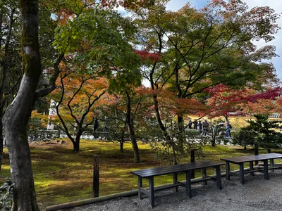 Kamigyō-ku, Japan — 24 November 2024