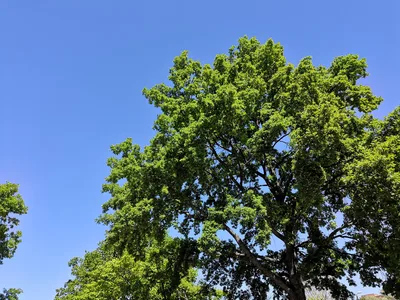 Photo from 16 June 2019
