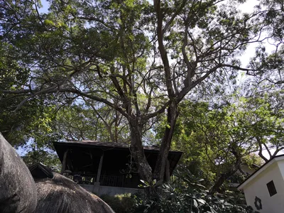 Photo from 23 February 2019