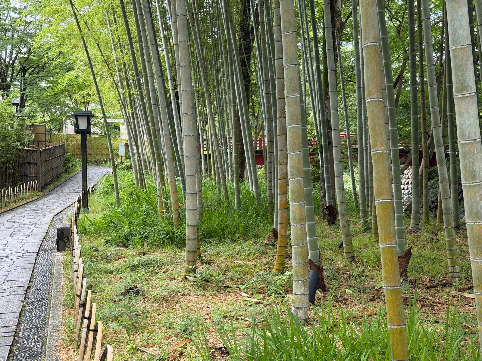 Shuzenji, Japan — 18 June 2026