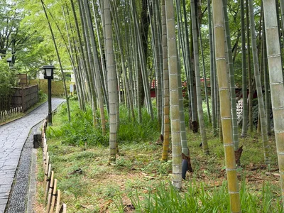 Shuzenji, Japan — 18 June 2026