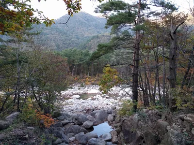 Sokcho, South Korea — 19 October 2016