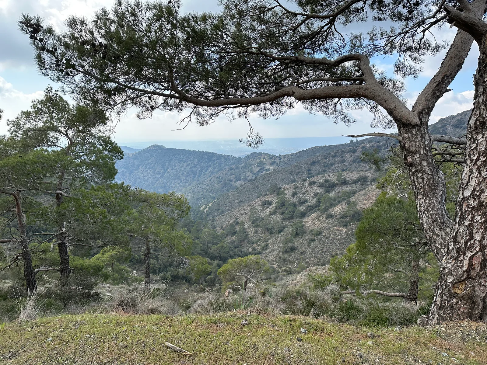 Peléndri, Cyprus — 25 February 2023