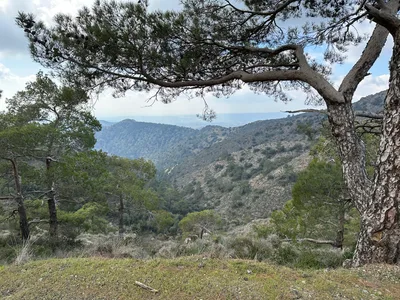 Peléndri, Cyprus — 25 February 2023