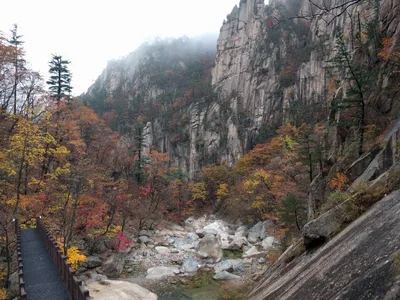 Sokcho, South Korea — 21 October 2016