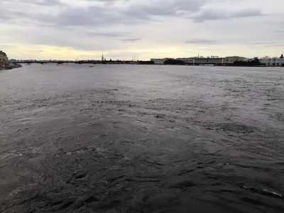 Finlyandskiy, Russia — 11 August 2018