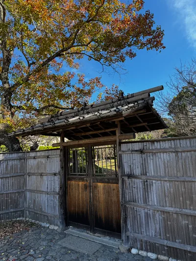 Nara-shi, Japan — 25 November 2024