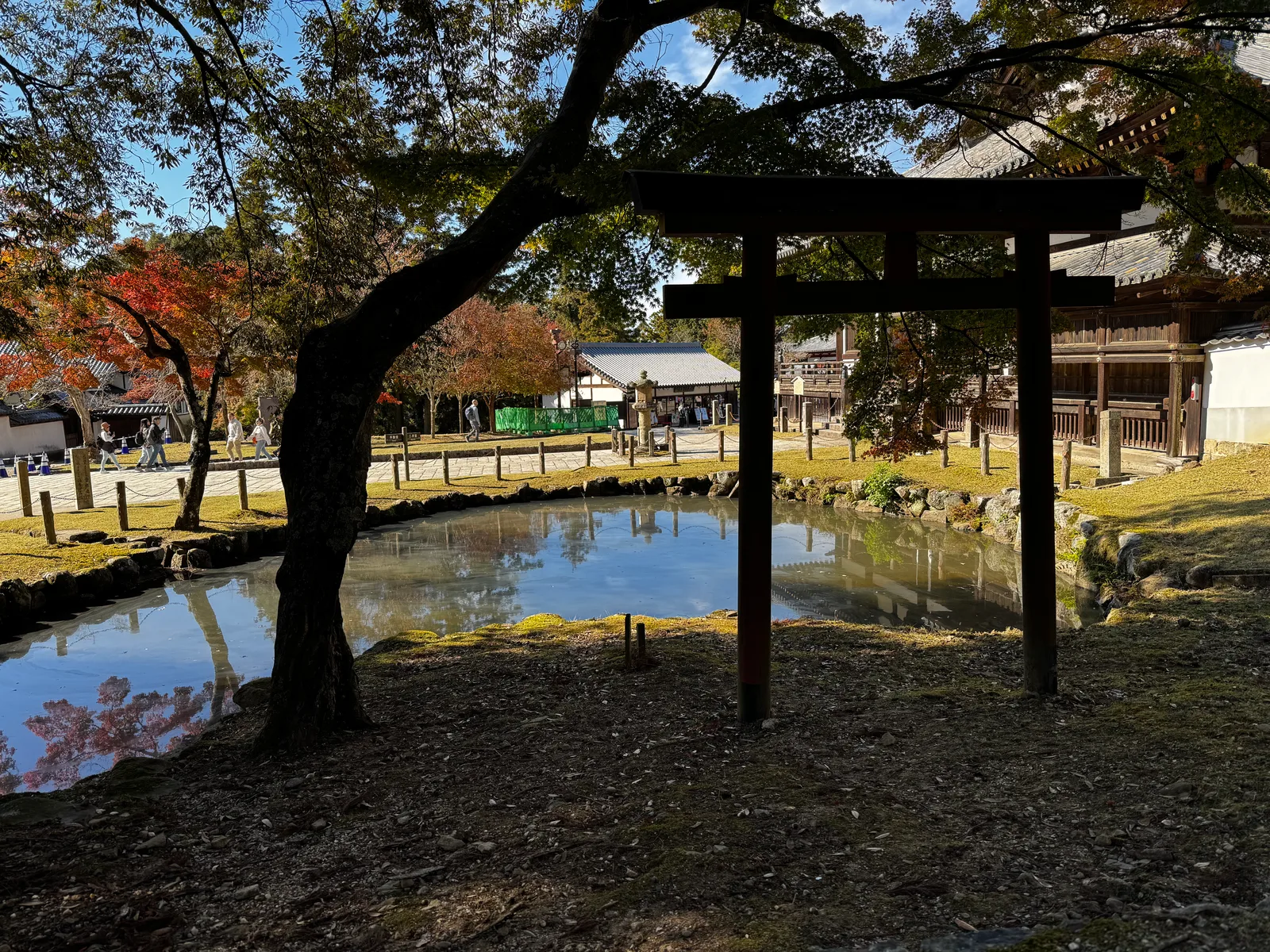 Nara-shi, Japan — 25 November 2024