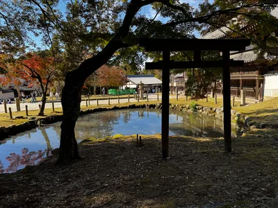 Nara-shi, Japan — 25 November 2024