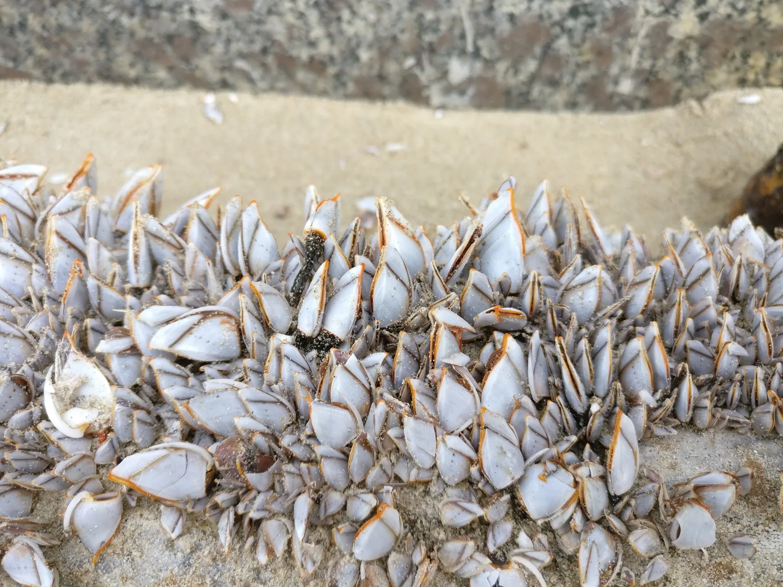 Vũng Tàu, Vietnam — 28 January 2018